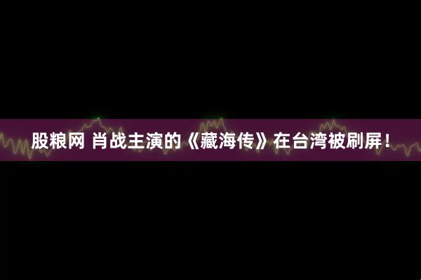 股粮网 肖战主演的《藏海传》在台湾被刷屏！