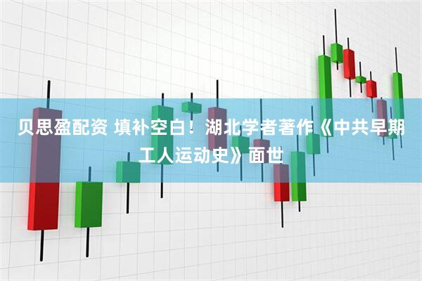 贝思盈配资 填补空白！湖北学者著作《中共早期工人运动史》面世