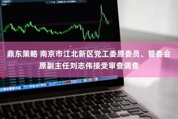 鼎东策略 南京市江北新区党工委原委员、管委会原副主任刘志伟接受审查调查