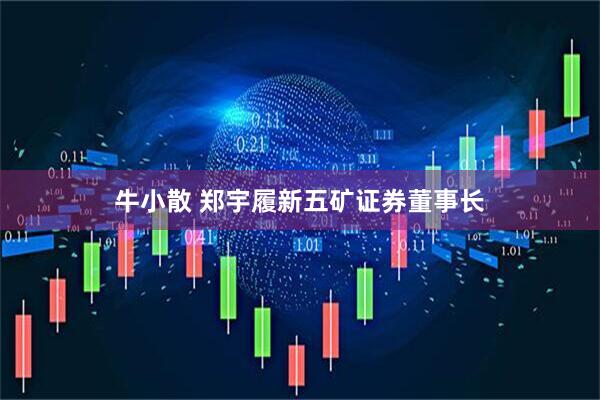牛小散 郑宇履新五矿证券董事长