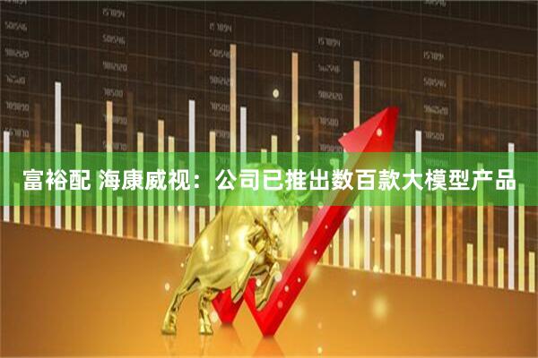 富裕配 海康威视：公司已推出数百款大模型产品