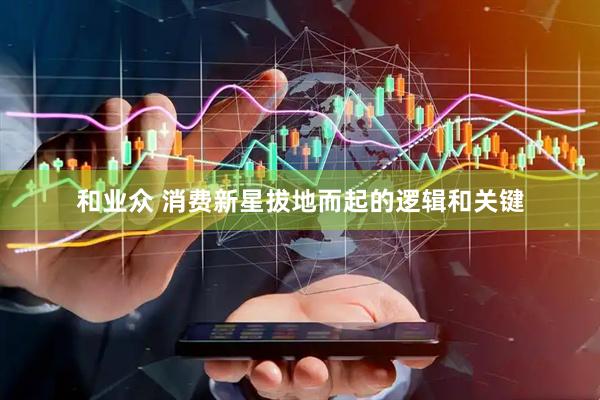 和业众 消费新星拔地而起的逻辑和关键