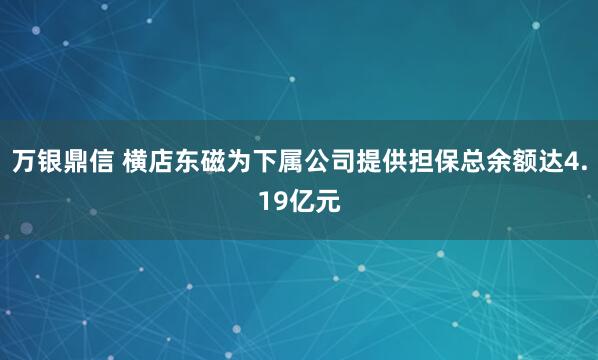 万银鼎信 横店东磁为下属公司提供担保总余额达4.19亿元