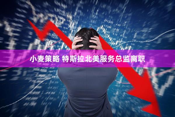 小麦策略 特斯拉北美服务总监离职