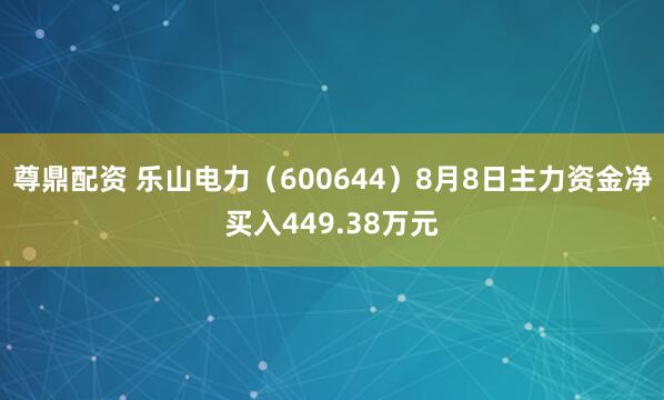 尊鼎配资 乐山电力（600644）8月8日主力资金净买入449.38万元