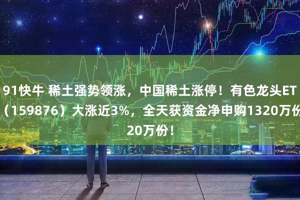 91快牛 稀土强势领涨，中国稀土涨停！有色龙头ETF（159876）大涨近3%，全天获资金净申购1320万份！