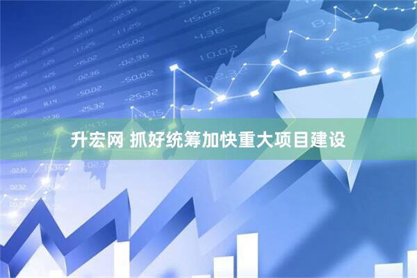 升宏网 抓好统筹加快重大项目建设