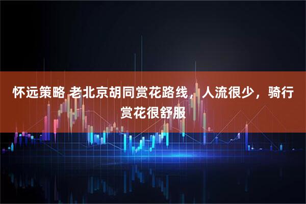 怀远策略 老北京胡同赏花路线，人流很少，骑行赏花很舒服